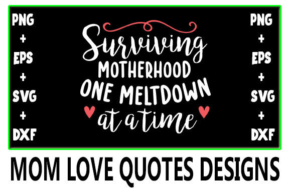 Mom Surviving Meltdown Review